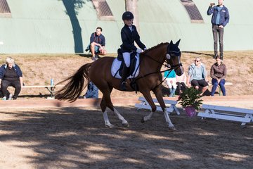 Bild 64 - Pony Akademie Turnier